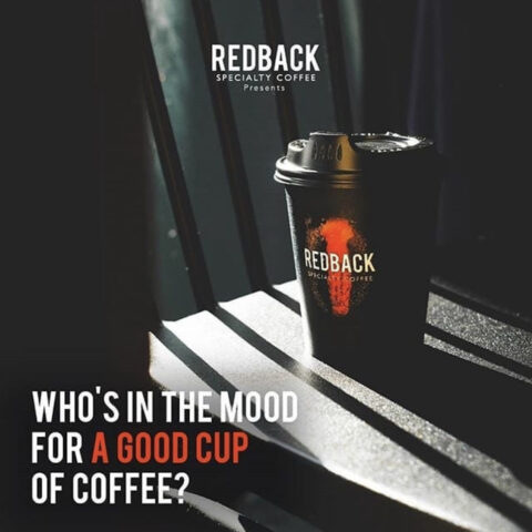 SocMed Management _ REDBACK COFFEE